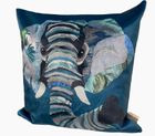 Shimmer Velvet Cushion